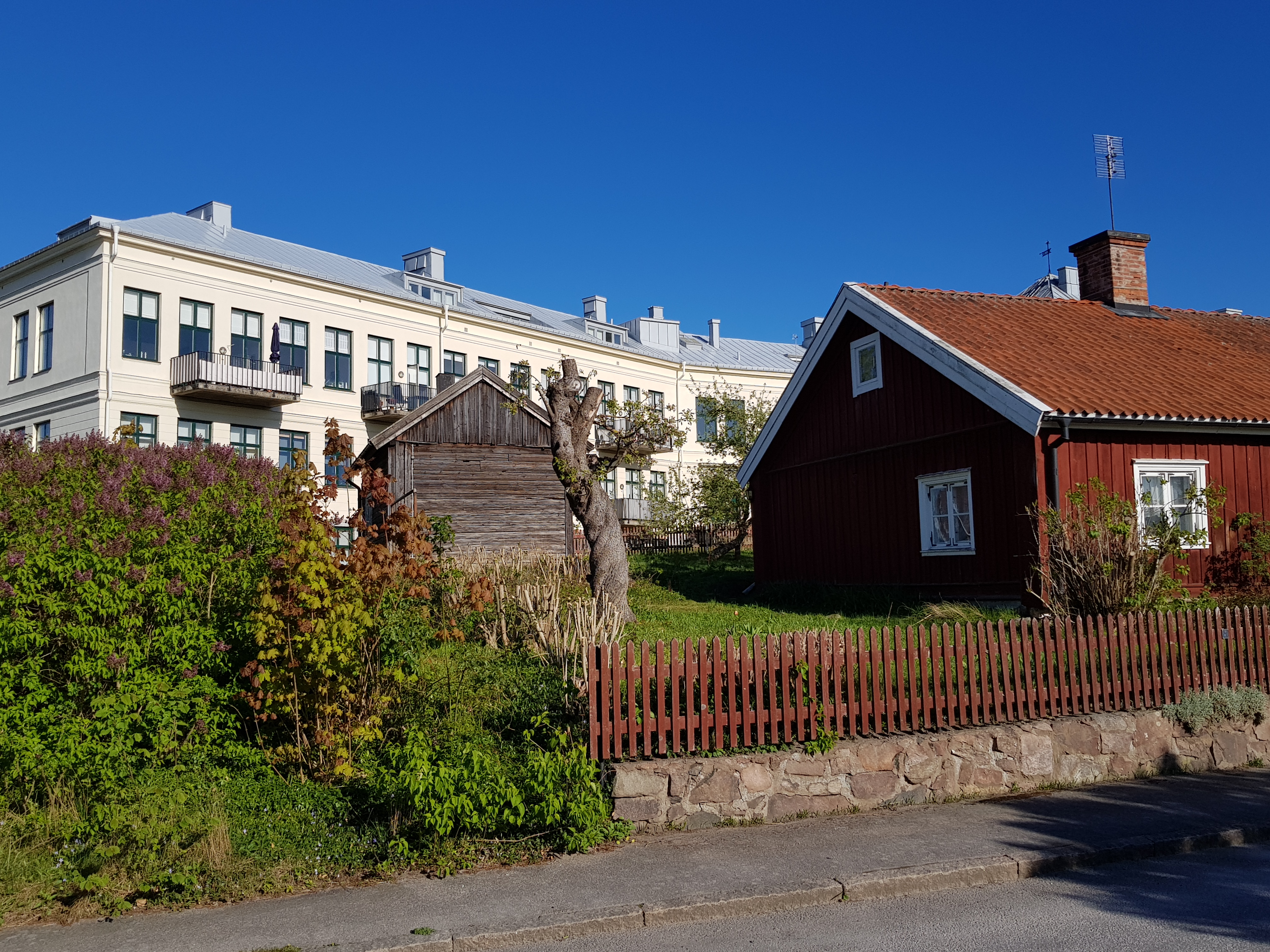 2019-05-04_175038.jpg